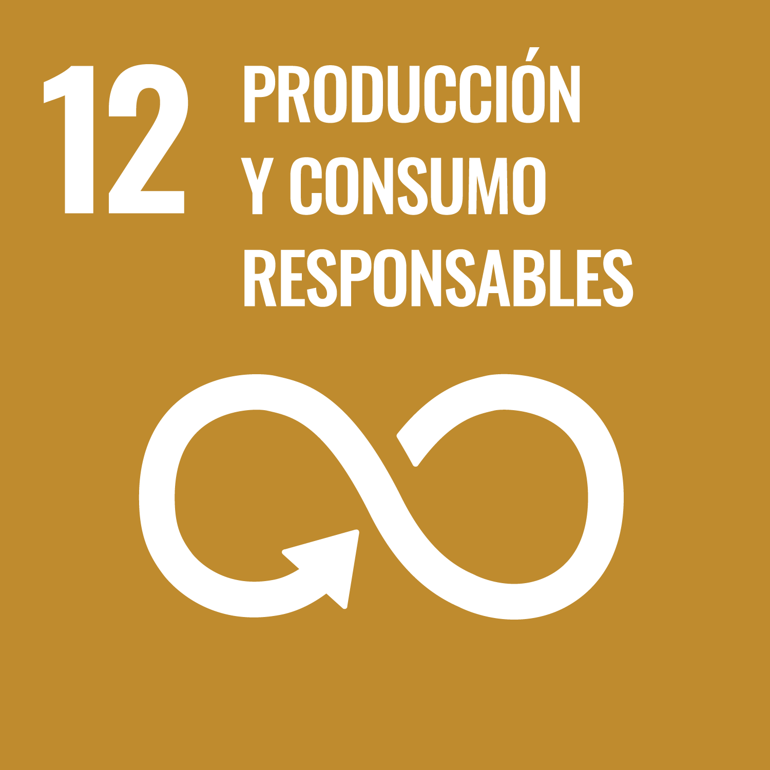 ODS 12: Producción y consumo responsables