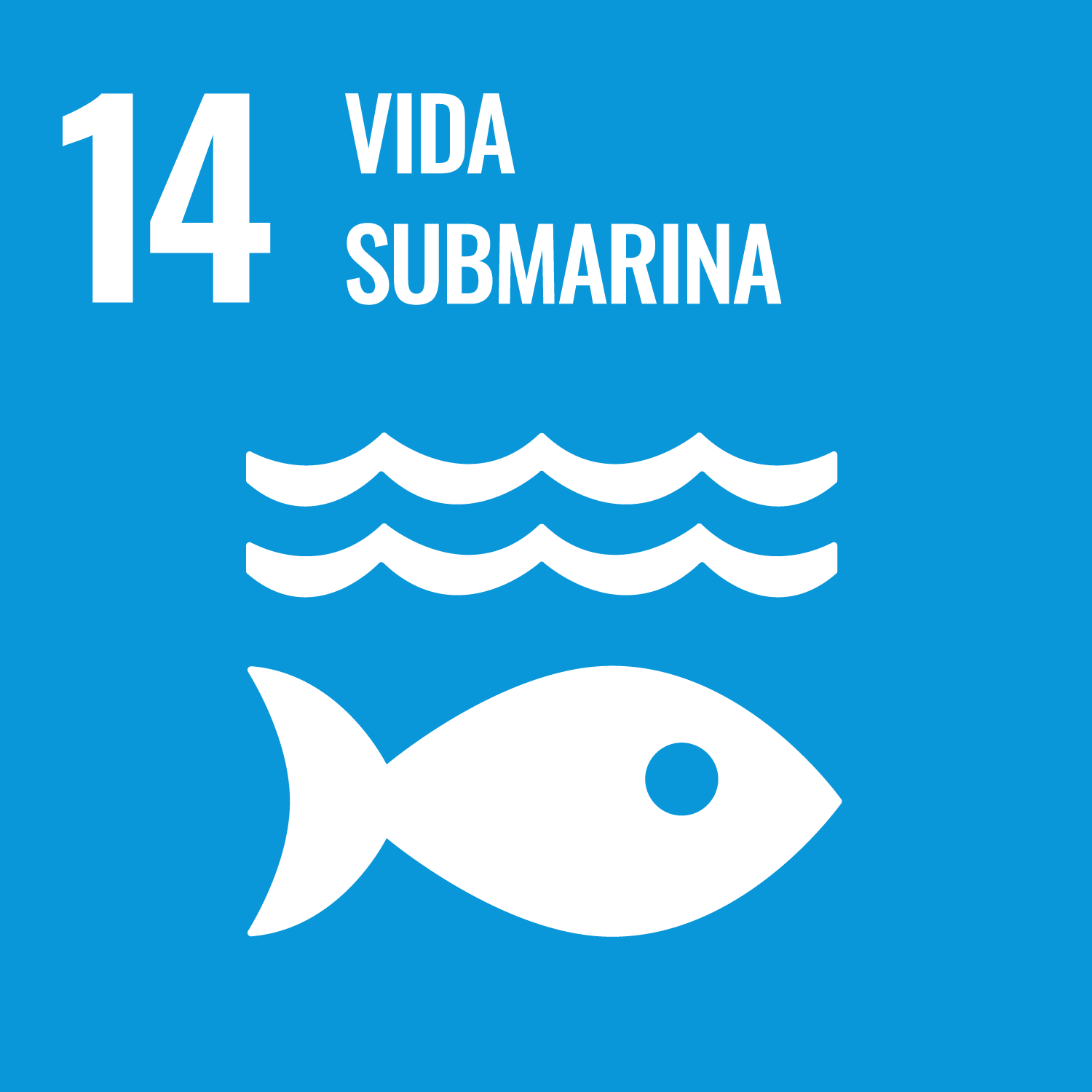 ODS 14: Vida submarina