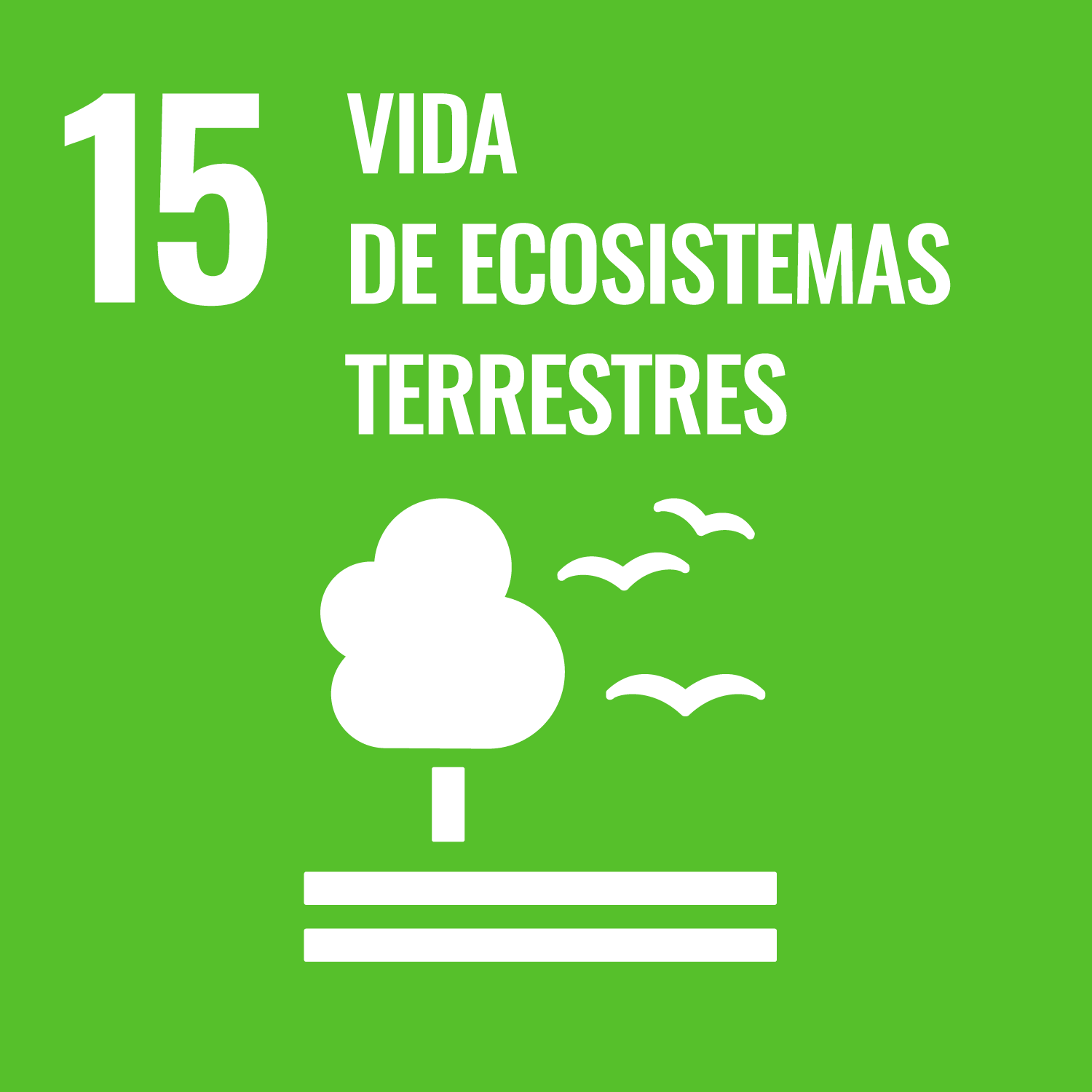 ODS 15: Vida de ecosistemas terrestres